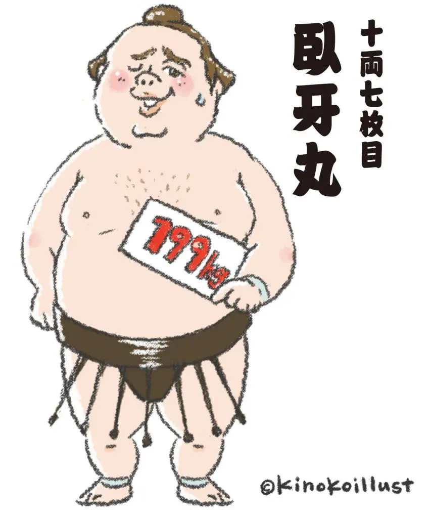 大相撲絵番付 | Kinokoillust＆Design